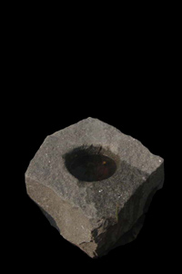 Bassin de riz