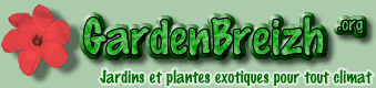Plantes exotiques et tropicales Plantes exotiques et tropicales