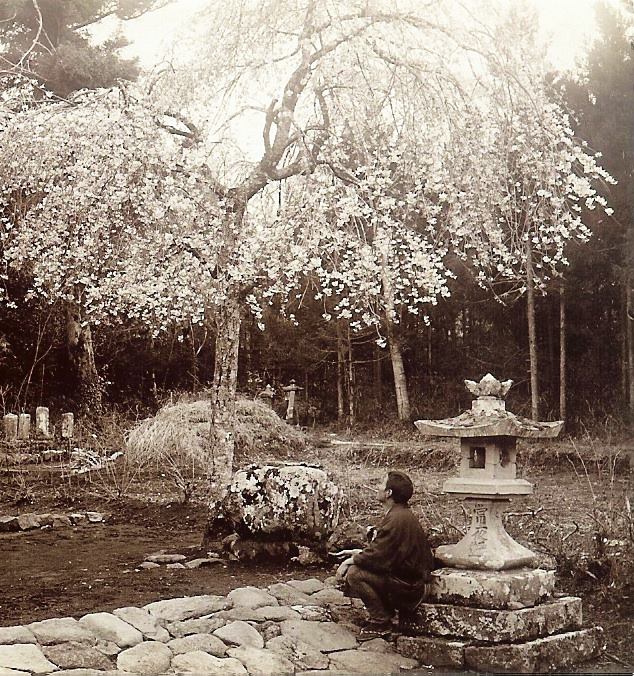 Histoire du jardin japonais - Jardin Japonais