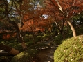 1280px-wakayama_castle_nishinomaru_garden11n4592