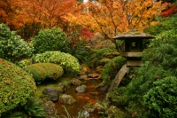 Rhone Street Gardens: Autumn at The Portland Japanese Garden