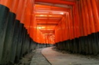 Japon | Photos de Jardin Japonais