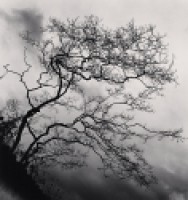 Michael Kenna