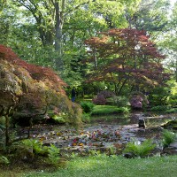 Japanese Garden - Spring Opening 2012 | The Hague Photo Journal