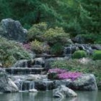 Jardin japonais | Espace pour la vie