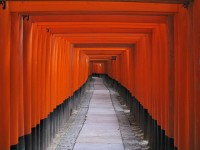 Fushimi-inari Shrine - Kyoto, Japan