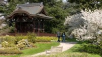 Visit Kew Gardens - Japanese Landscape