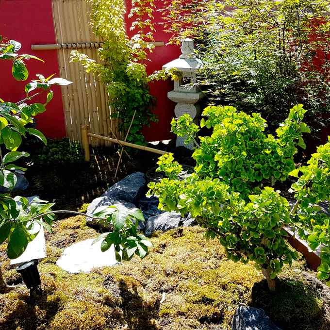Jardin de thé traditionnel jardin japonais jizo oribe tsukubai fontaine