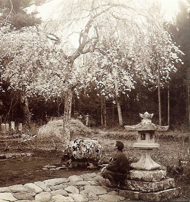 Sérénité du jardin japonais ancien