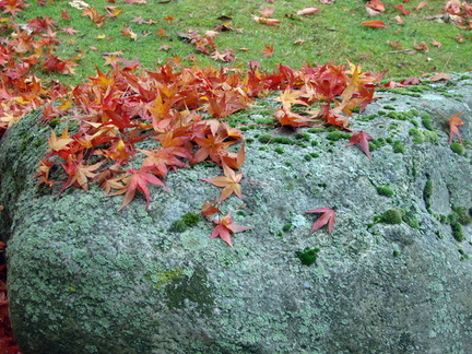feuilles morte et pierre