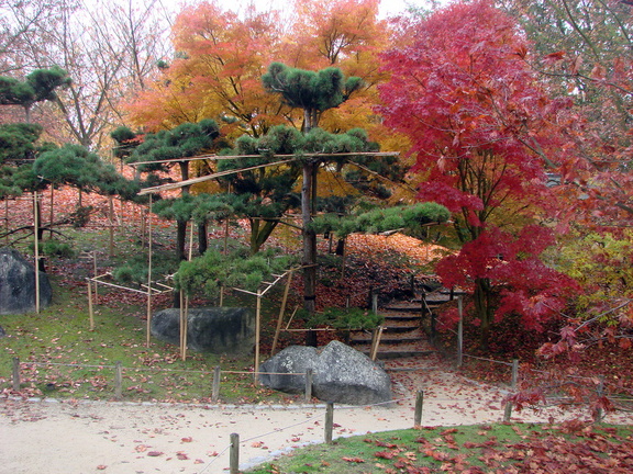 taille japonaise et  tuteurs 2