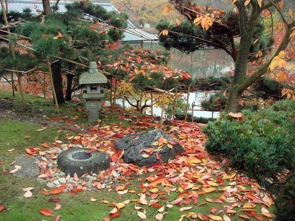 jardin_japonais_020