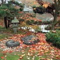 jardin_japonais_020