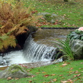 cascade et ikebana