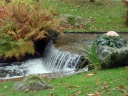 cascade et ikebana