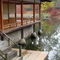 jardin_japonais_025