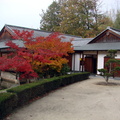 jardin_japonais_039