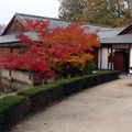 jardin_japonais_040