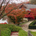 jardin_japonais_047