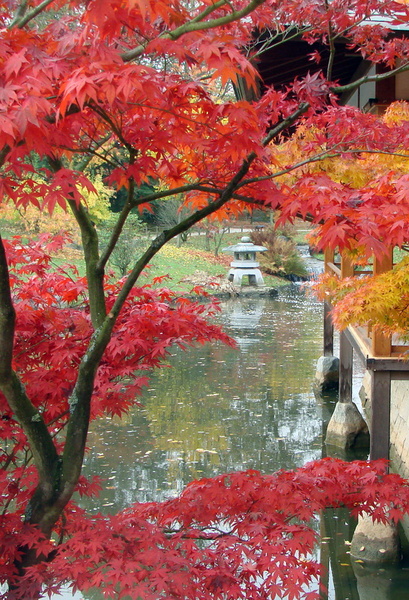 lac lanterne et pavillon - 20091103175402-b514c546.jpg 20091103175402-b514c546.jpg