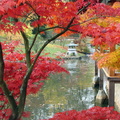 lac lanterne et pavillon