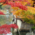 jardin_japonais_078