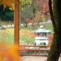 jardin_japonais_082