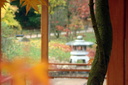 jardin_japonais_082