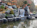 Cascade japonaise