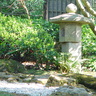 Jardin japonais Albert Kahn