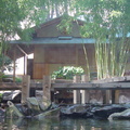 pavillion vu de l'interieur du musée