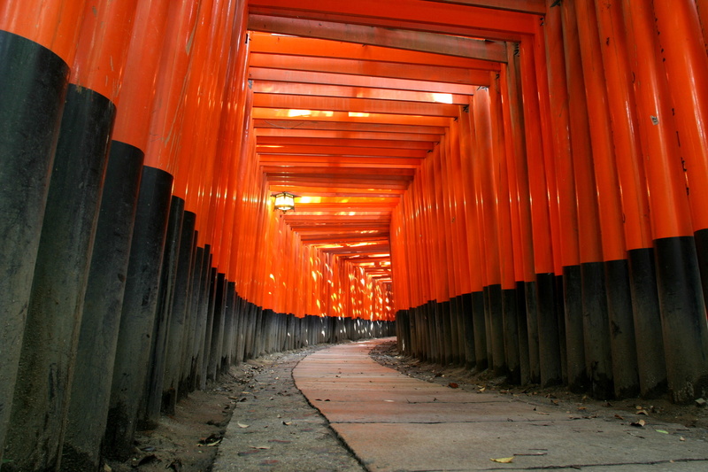 torii du temple d'Inari à Kyoto KyotoFushimiInariLarge.jpg