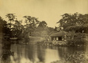 1840 Yedo Tycoon Garden