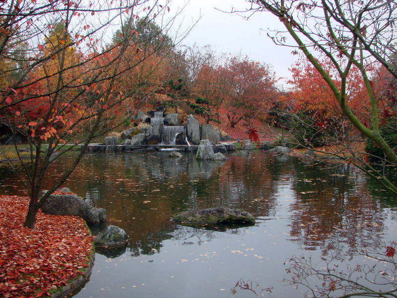 Cascade japonaise 2 - 20091103174826-a07638f6.jpg 20091103174826-a07638f6.jpg