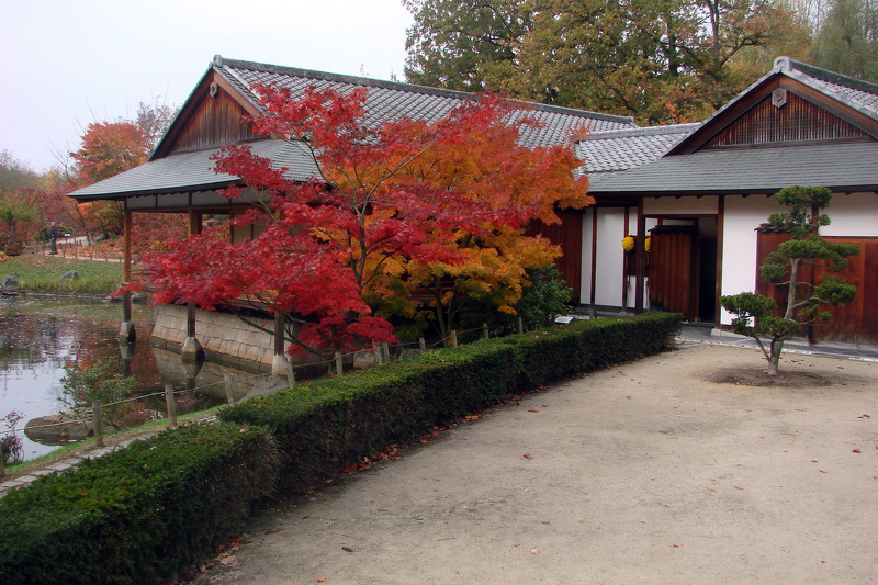 jardin_japonais_040