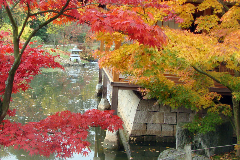 jardin_japonais_078 - 20091103175410-56101543.jpg 20091103175410-56101543.jpg