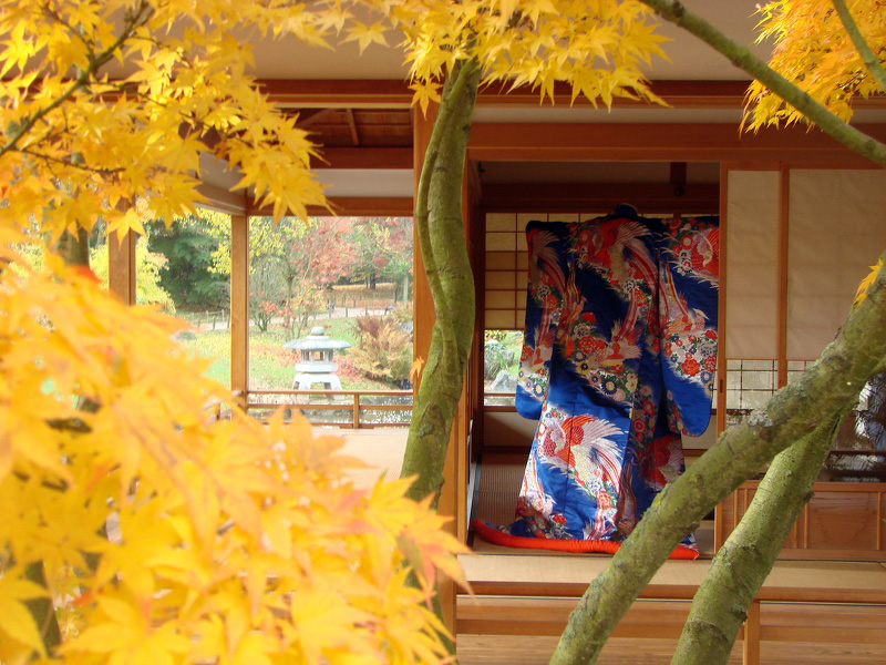 kimono et lanterne 3 - 20091103175431-205fe16e.jpg 20091103175431-205fe16e.jpg
