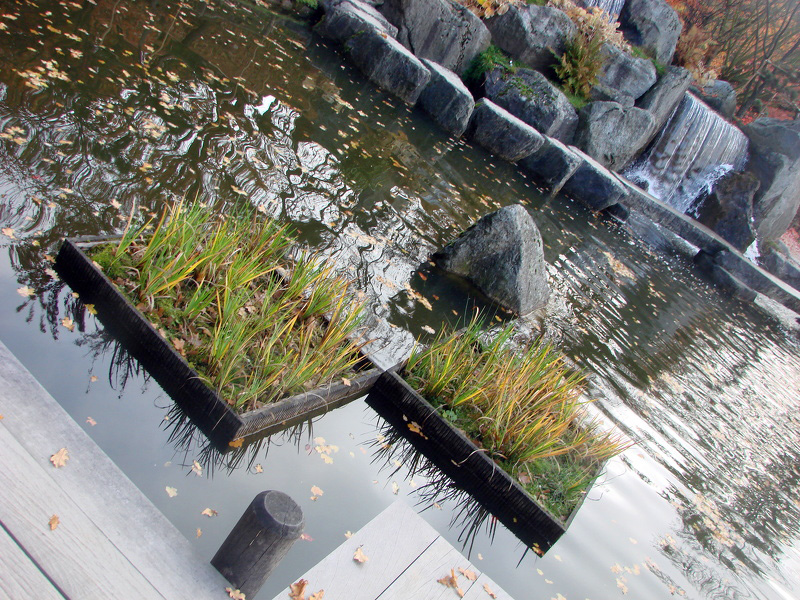 jardin_japonais_129 - 20091103175656-18c4c2cb.jpg 20091103175656-18c4c2cb.jpg